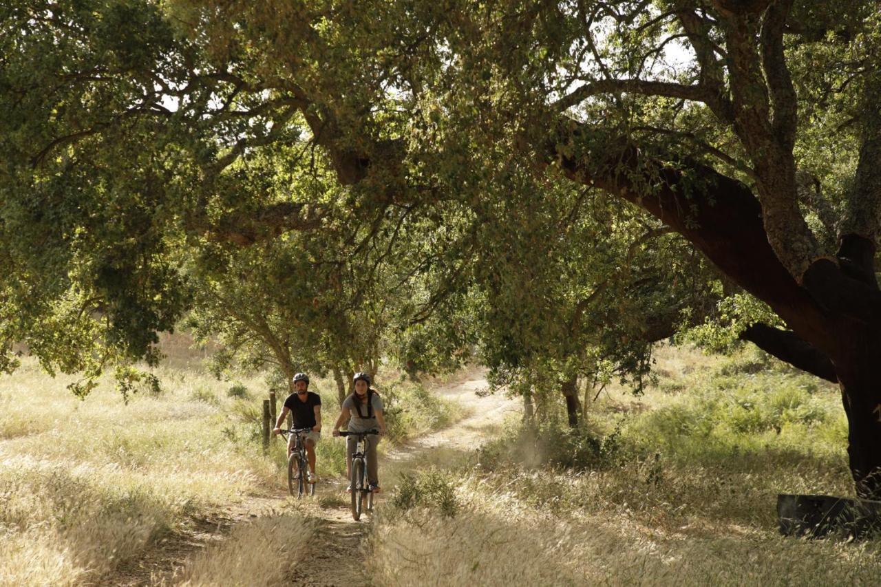 Herdade Da Matinha Country House & Restaurant Cercal do Alentejo Exterior photo
